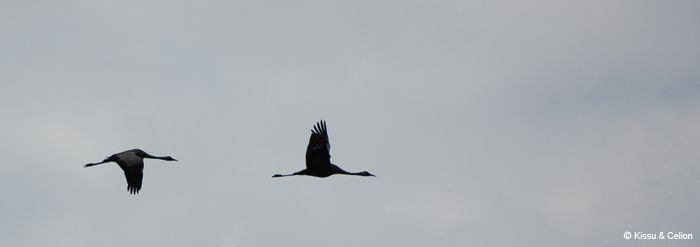 DSC_0124.jpg