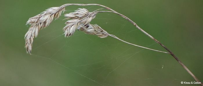 DSC_0147.jpg