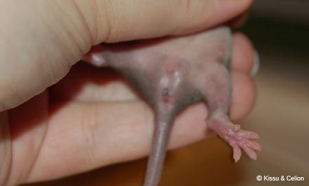 DSC_0124.jpg