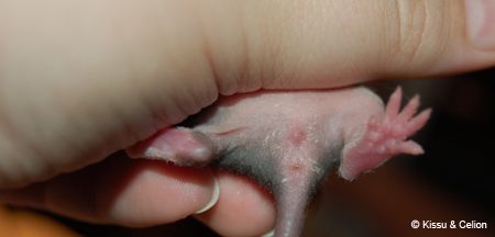 DSC_0325.jpg