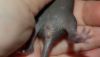DSC_0393.jpg