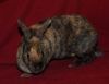 DSC_0138.jpg