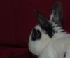 DSC_0163.jpg