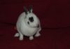 DSC_0171.jpg