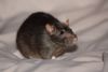DSC_0112.jpg
