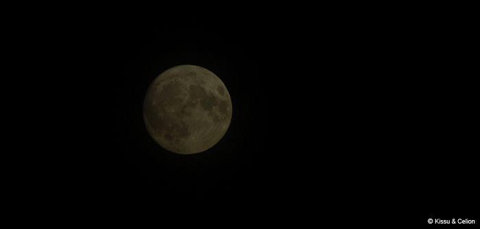 Picture_050.jpg