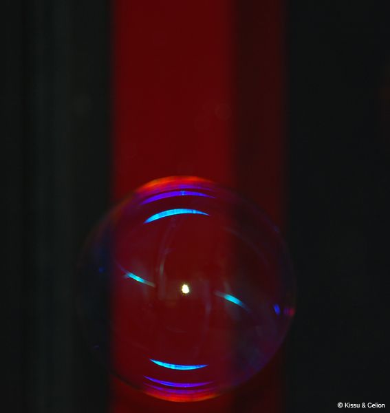 DSC_0205.jpg