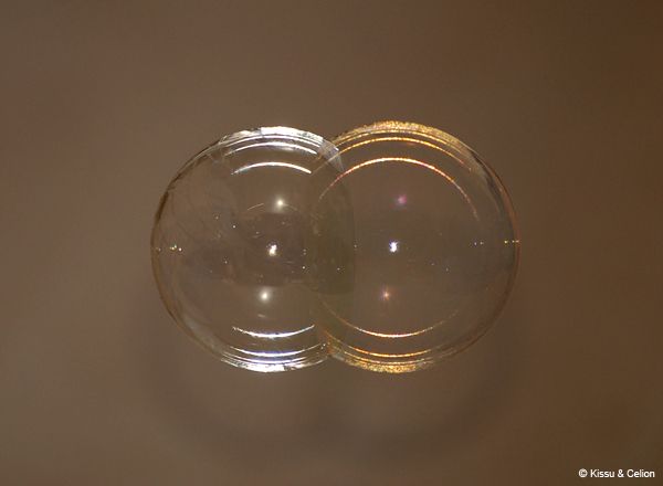 DSC_0282.jpg
