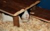 DSC_0015.jpg