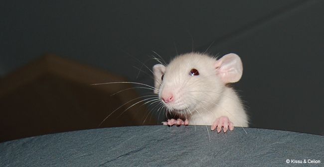 DSC_0362.jpg