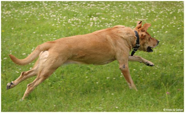 DSC_0213.jpg