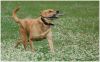 DSC_0112.jpg