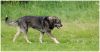 DSC_0173.jpg