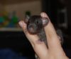 DSC_0058.jpg