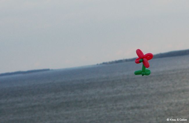 DSC_0106.jpg