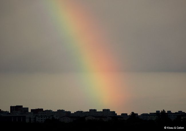 DSC_0130.jpg