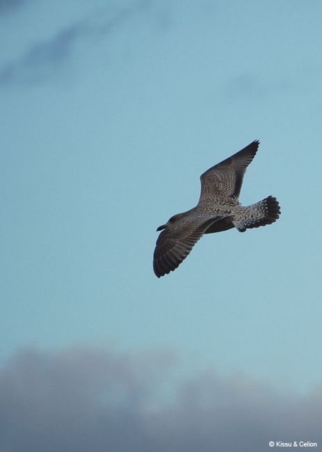 DSC_0148.jpg