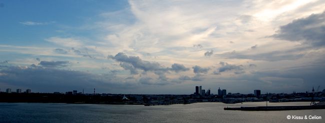 DSC_0196.jpg