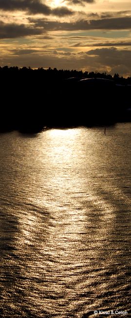 DSC_0219.jpg