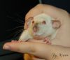 DSC_0121.jpg