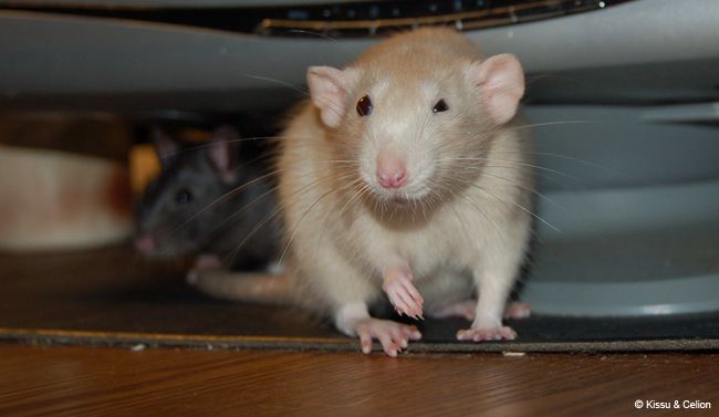 DSC_0073.jpg