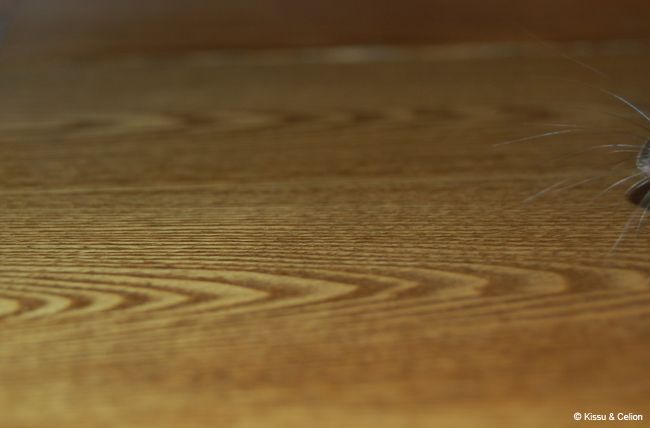 DSC_0168.jpg