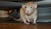 DSC_0073.jpg