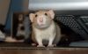 DSC_0124.jpg