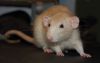 DSC_0139.jpg