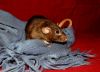 DSC_0196.jpg