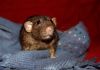 DSC_0198.jpg
