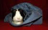 DSC_0011.jpg