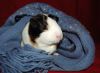 DSC_0018.jpg
