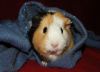 DSC_0108.jpg