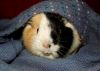 DSC_0128.jpg