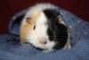 DSC_0153.jpg