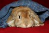 DSC_0237.jpg