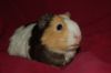 DSC_0016.jpg