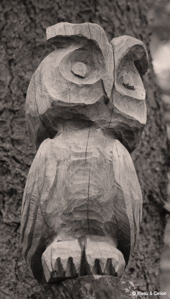DSC_0026.jpg