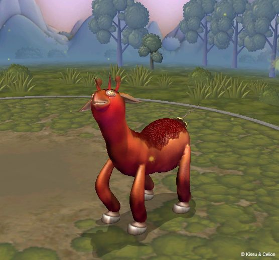 donky.jpg