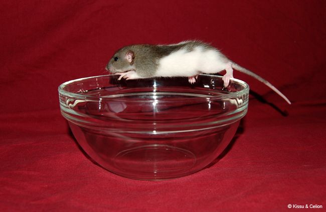 DSC_0076.jpg