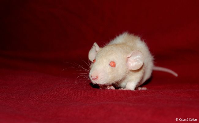 DSC_0146.jpg