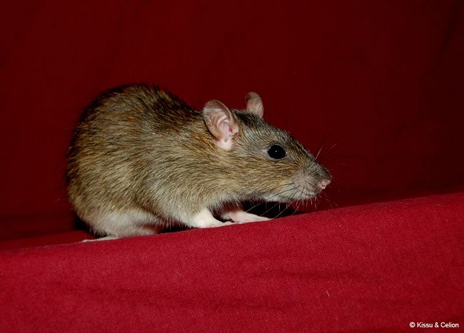 DSC_0341.jpg