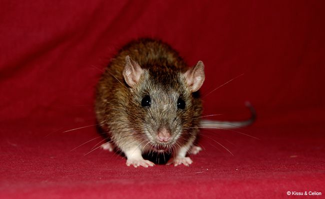 DSC_0355.jpg