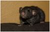 DSC_0267.jpg