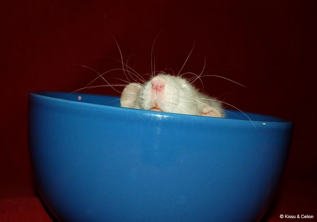 DSC_0094.jpg