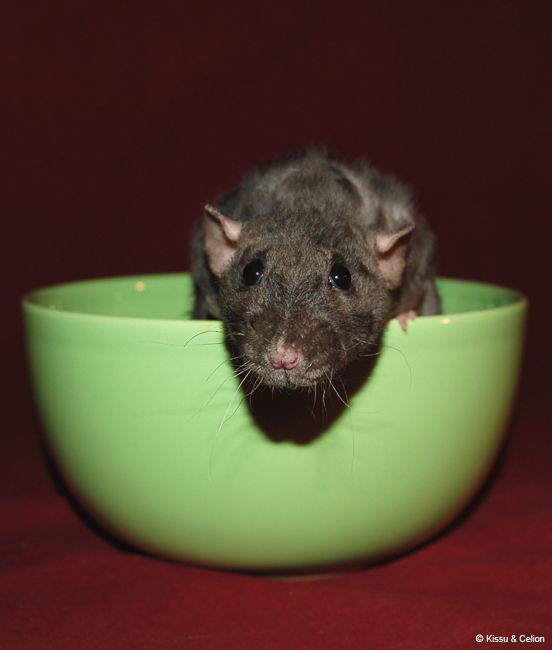 DSC_0236.jpg