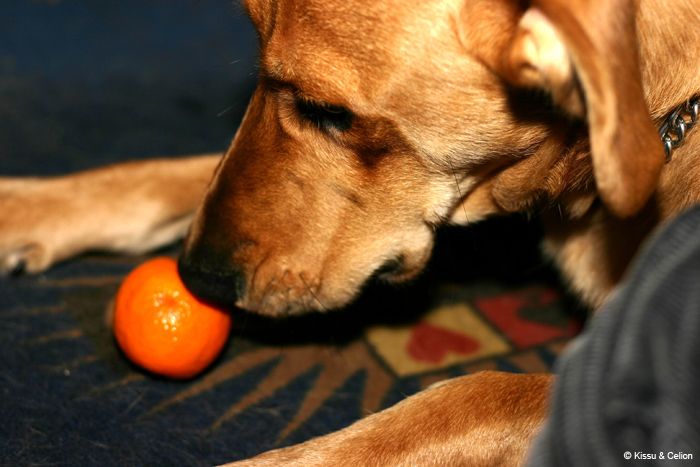 Mandarin2
