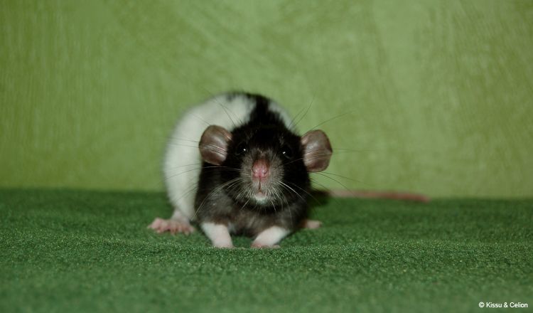 DSC_0005~8.jpg