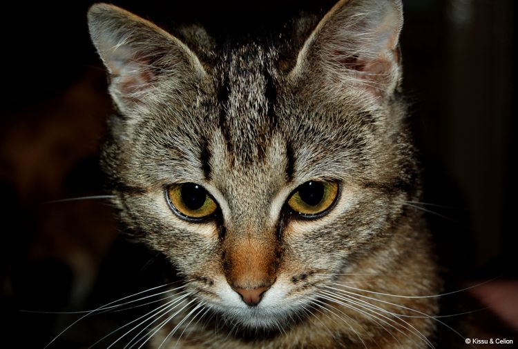 DSC_0008~10.jpg